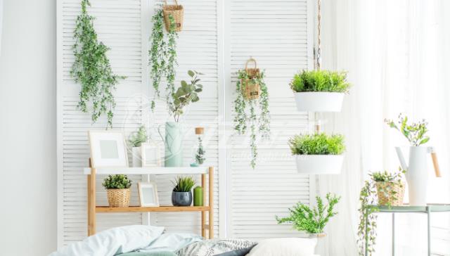 新家具有味怎么才能去味？