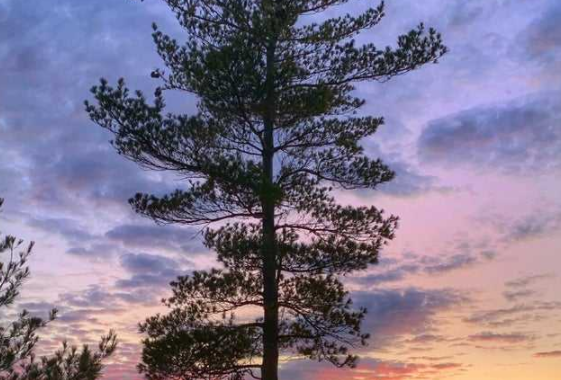 重慶智能家居加盟：相比傳統(tǒng)家居，智能家居的優(yōu)勢(shì)是什么？