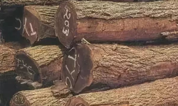 人造環(huán)保板材：實(shí)木家具的主流材種有哪些？