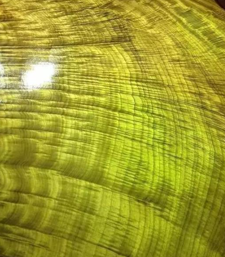 金絲楠烏木：如何區(qū)別金絲楠、黃心楠、黃金樟