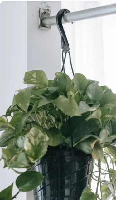 室內(nèi)設(shè)計(jì)專業(yè)培訓(xùn);消費(fèi)者對(duì)環(huán)保健康室內(nèi)設(shè)計(jì)、家具擺設(shè)和裝飾的需求，已成一股推動(dòng)力